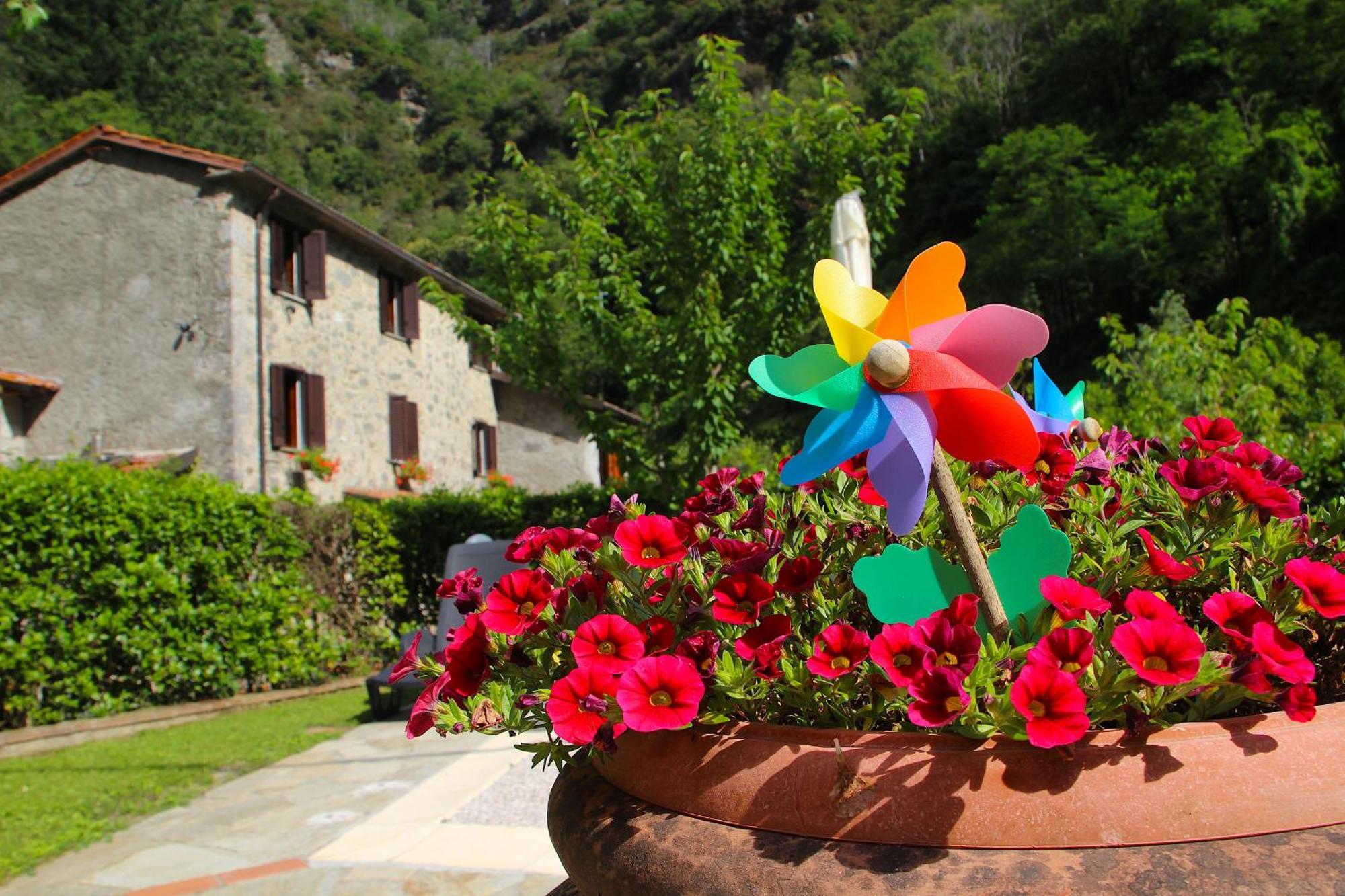 Casa Vacanze Il Boscaccio "Casa Massimo" Fornovolasco Εξωτερικό φωτογραφία