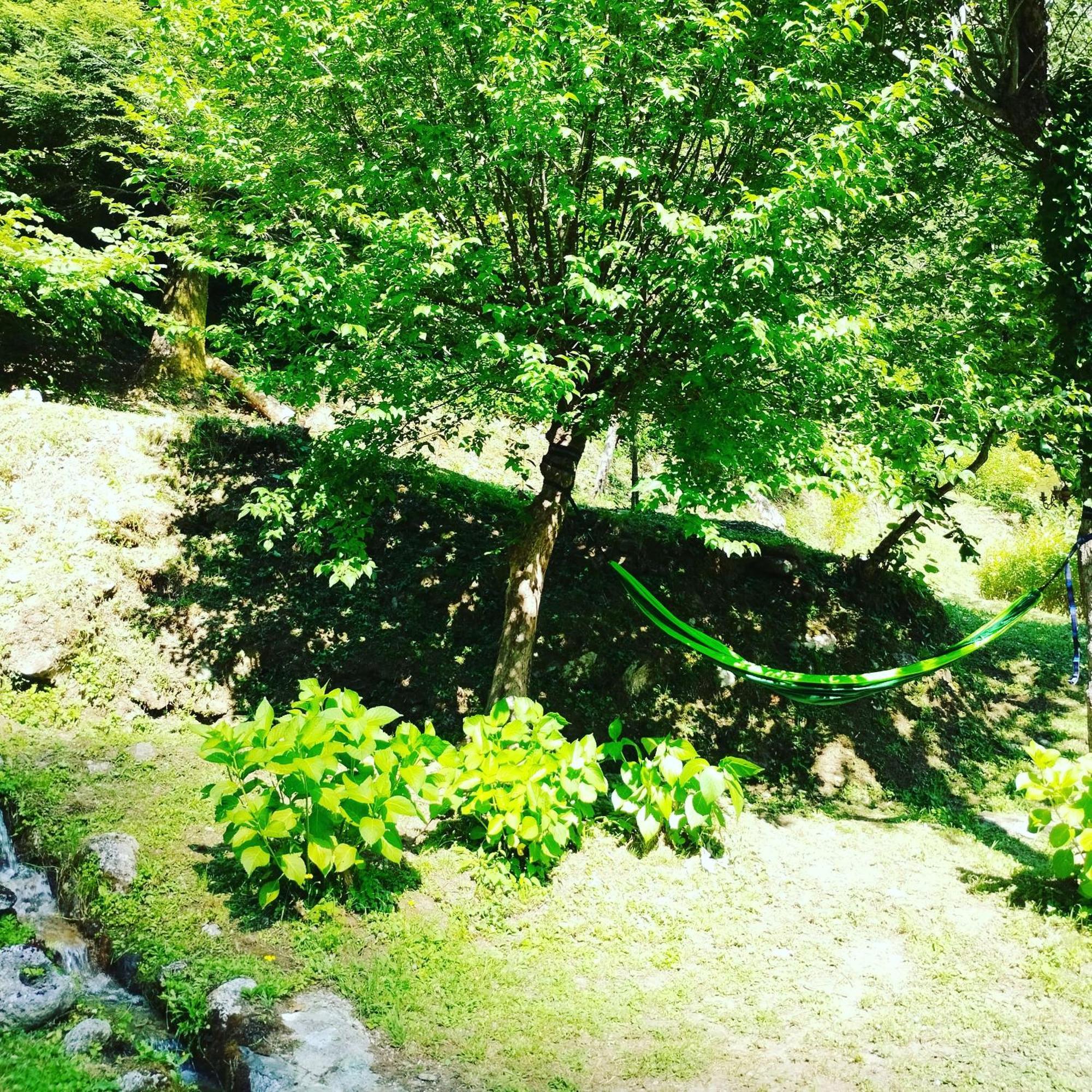 Casa Vacanze Il Boscaccio "Casa Massimo" Fornovolasco Εξωτερικό φωτογραφία